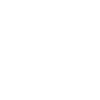 ic-aerial-park